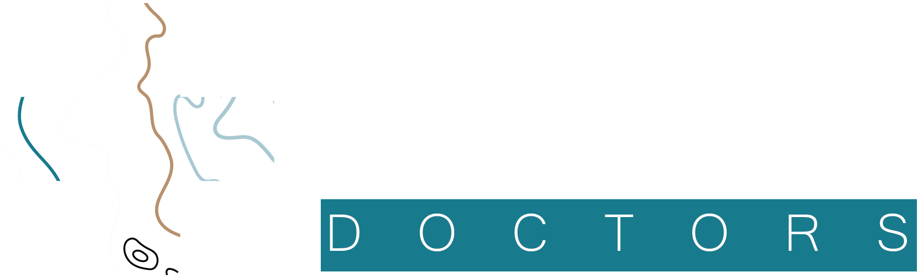 Gulf Coast Soil and Seawall Doctors